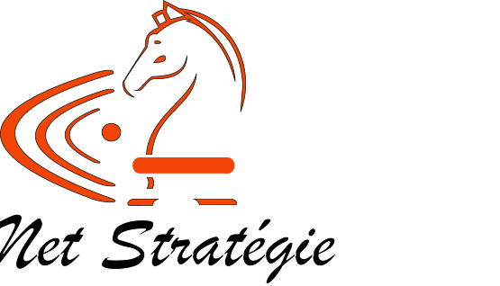 Net Stratégie
